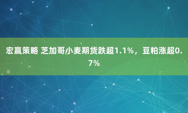 宏赢策略 芝加哥小麦期货跌超1.1%，豆粕涨超0.7%