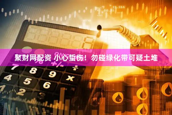 聚财网配资 小心蜇伤！勿碰绿化带可疑土堆